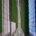 Read more about the article Vertical Farms Expand as Demand for Year-Round Produce Grows