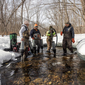 Read more about the article The Fragile Hope for Salmon Recovery in Maine