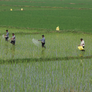 Read more about the article How War in the Middle East Could Sow Hunger