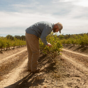 Read more about the article Covid Relief Loans Are Haunting Small Businesses