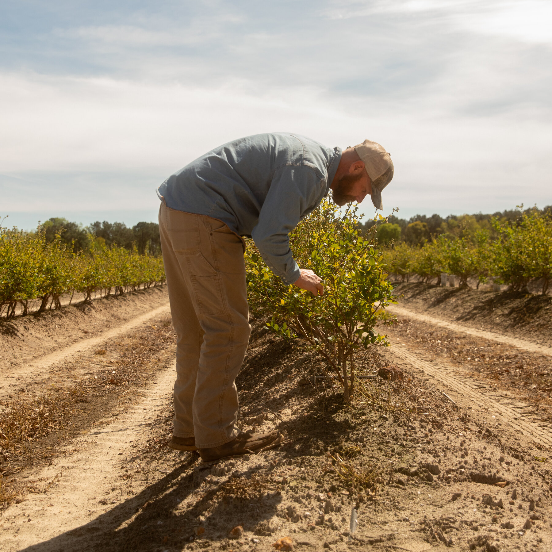 You are currently viewing Covid Relief Loans Are Haunting Small Businesses