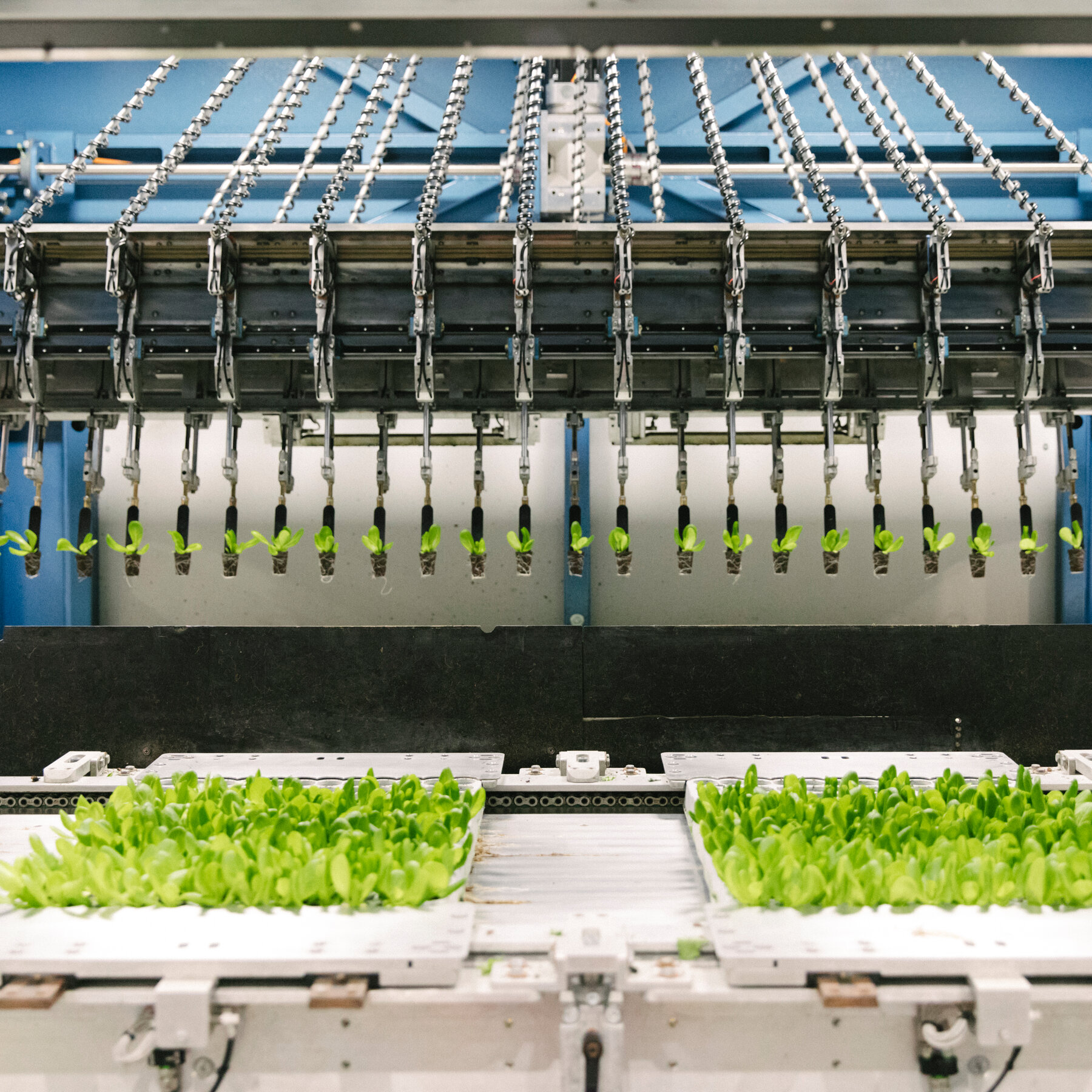 You are currently viewing Vertical Farms Tried to Compete With Open Field Farming. It Isn’t Going Well.
