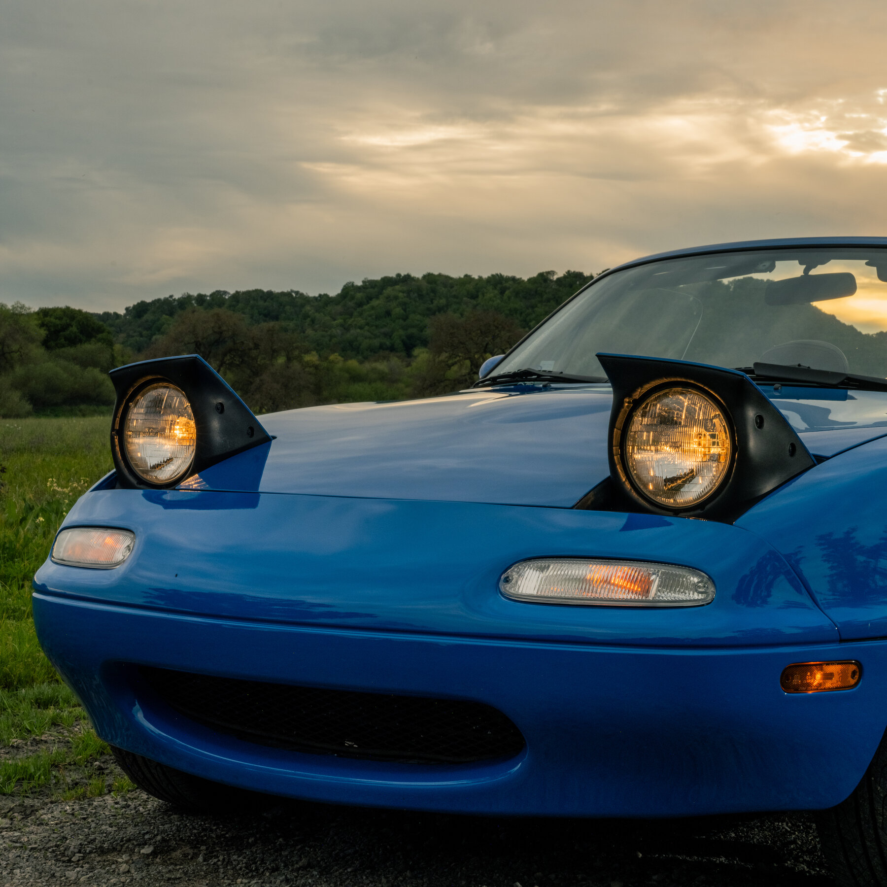 You are currently viewing A Wink, a Nod or a Duck: The Secrets Behind Car Owners’ Secret Handshakes