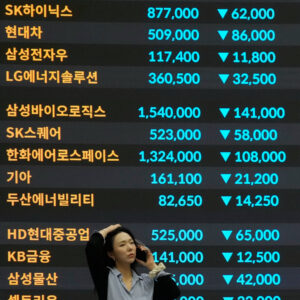 Read more about the article They Made It Through the 24 Hours That Rocked South Korea’s Markets