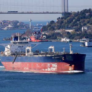 Read more about the article War in the Gulf Could Turn India Back Onto Russian Oil