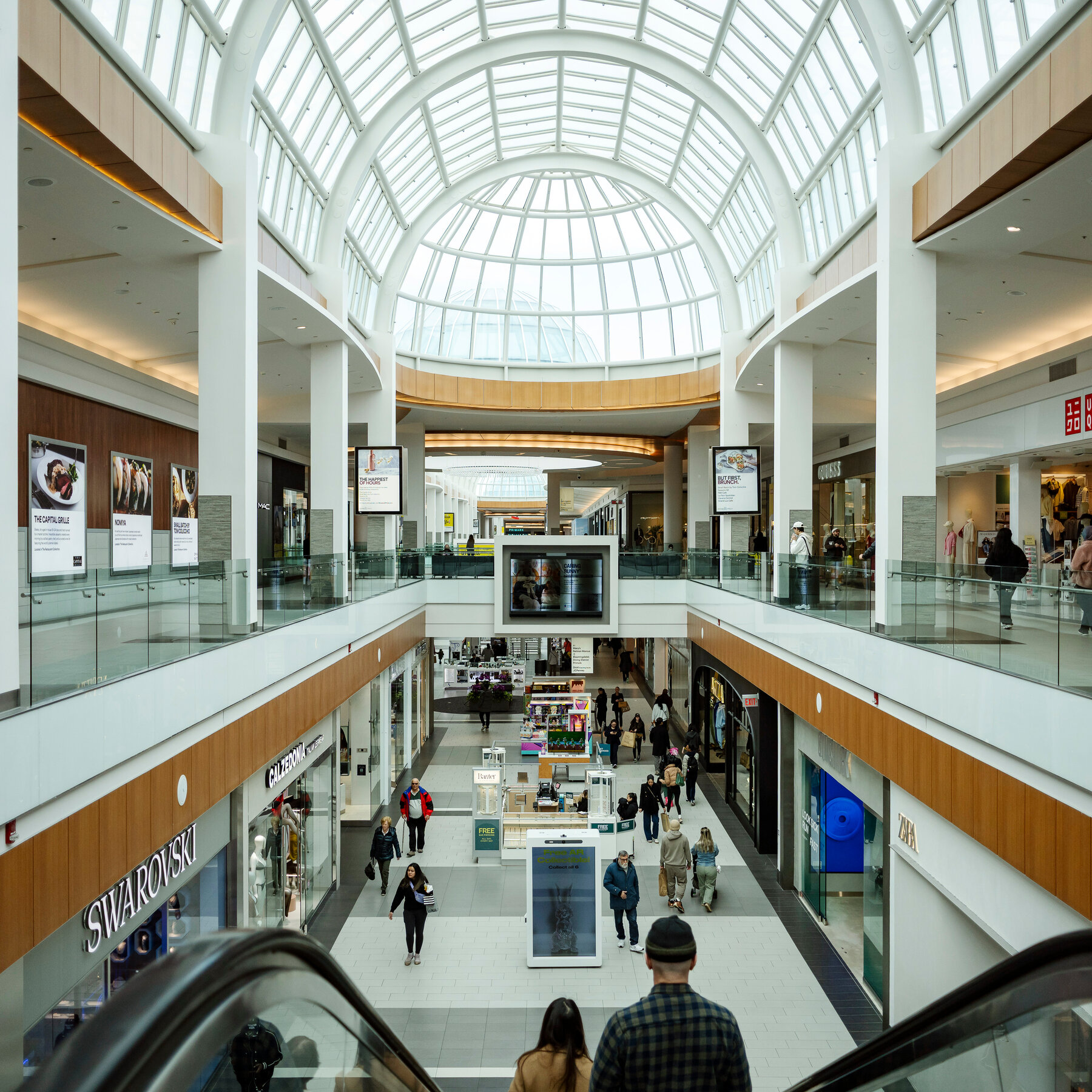 You are currently viewing Not All Malls Are Struggling