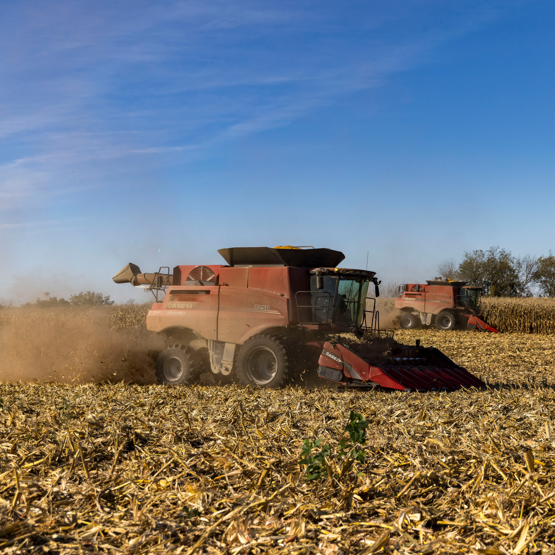 You are currently viewing War With Iran Puts Further Strain on America’s Pessimistic Farmers