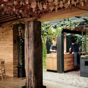 Read more about the article Noma Could Have Changed So Much More Than Food