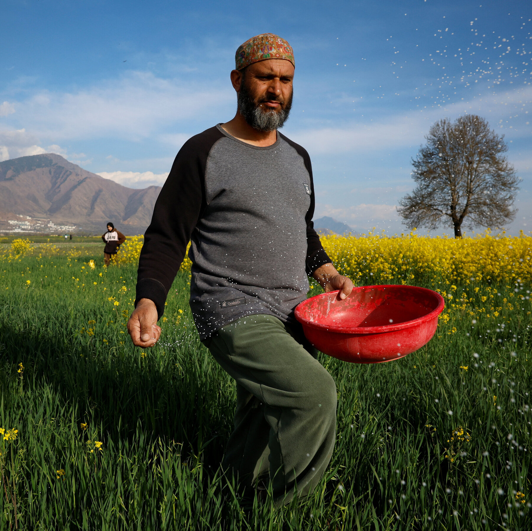 You are currently viewing Global Food Supply Faces a Dangerous Bottleneck as Iran War Persists