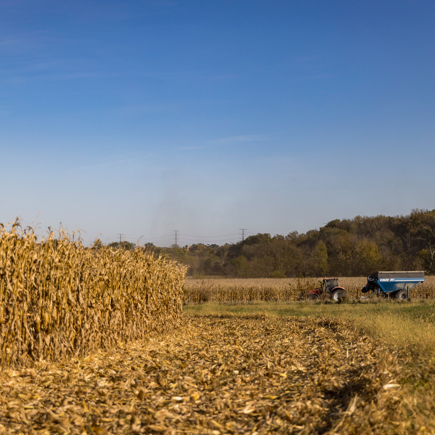 You are currently viewing Crop Undercount Raises Questions About Reliability of U.S.D.A. Data