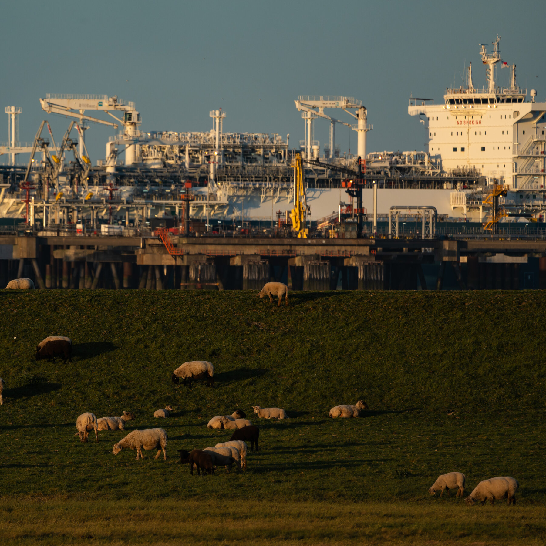 Read more about the article Fallout of War Piles Economic Pain Onto Europe’s Political Stress