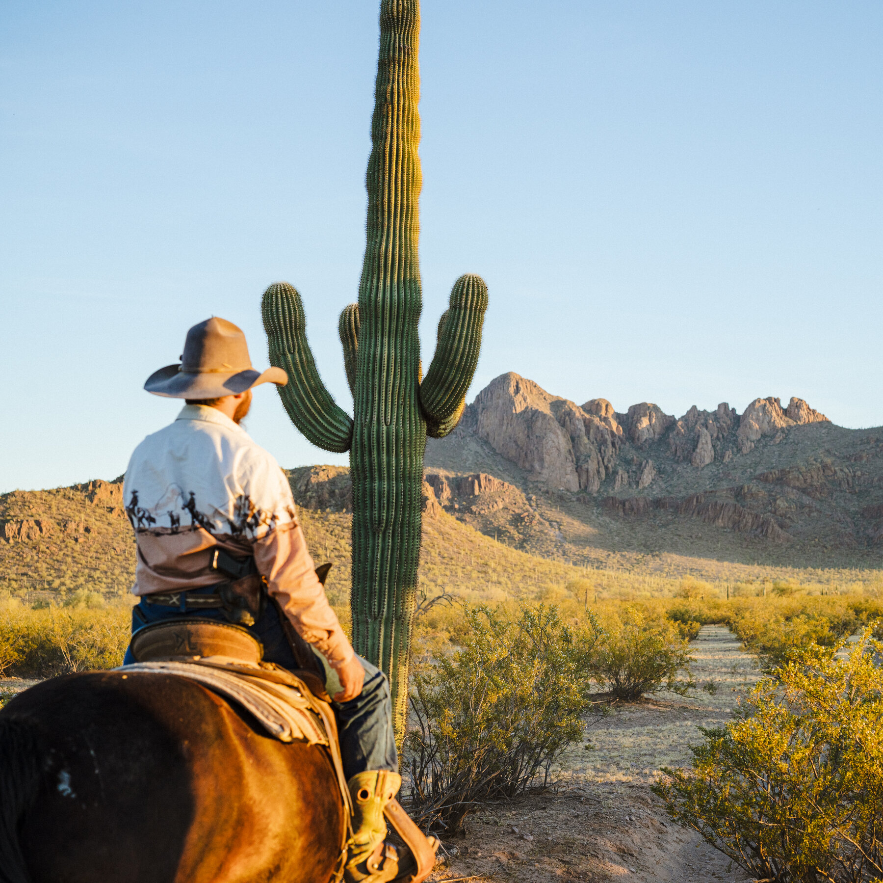 You are currently viewing Tucson: A City for Outdoor Lovers