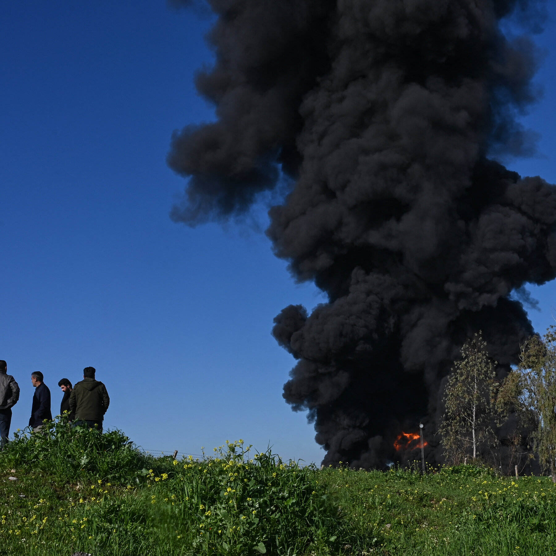 You are currently viewing OPEC Plus Warns of Slow Recovery After War in Iran