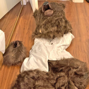 Read more about the article Humans Who Used a Bear Suit to Defraud Car Insurers Sentenced to Jail