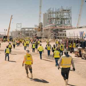 Read more about the article Carbon Removal Industry Reels as Microsoft Retreats