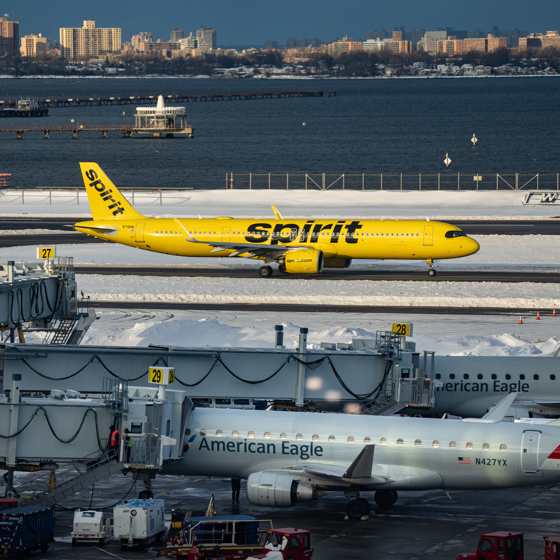 Read more about the article Trump Dismisses a Merger While Seeking Suitors for Spirit Airlines