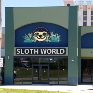 Read more about the article 31 Sloths Acquired by an Orlando Animal Attraction Died, Officials Say