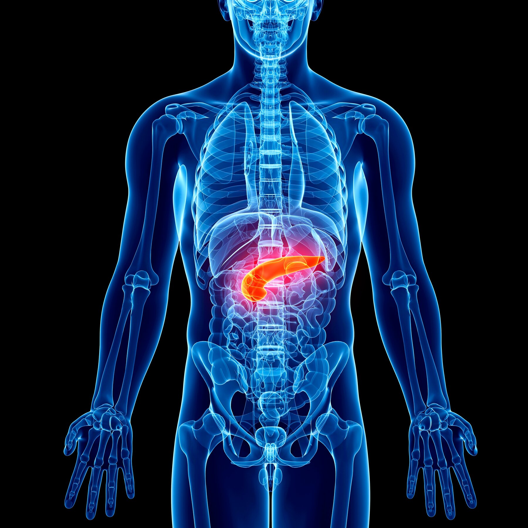 Read more about the article Two Drugs Stir Hope for Treatment of Deadly Pancreatic Cancer