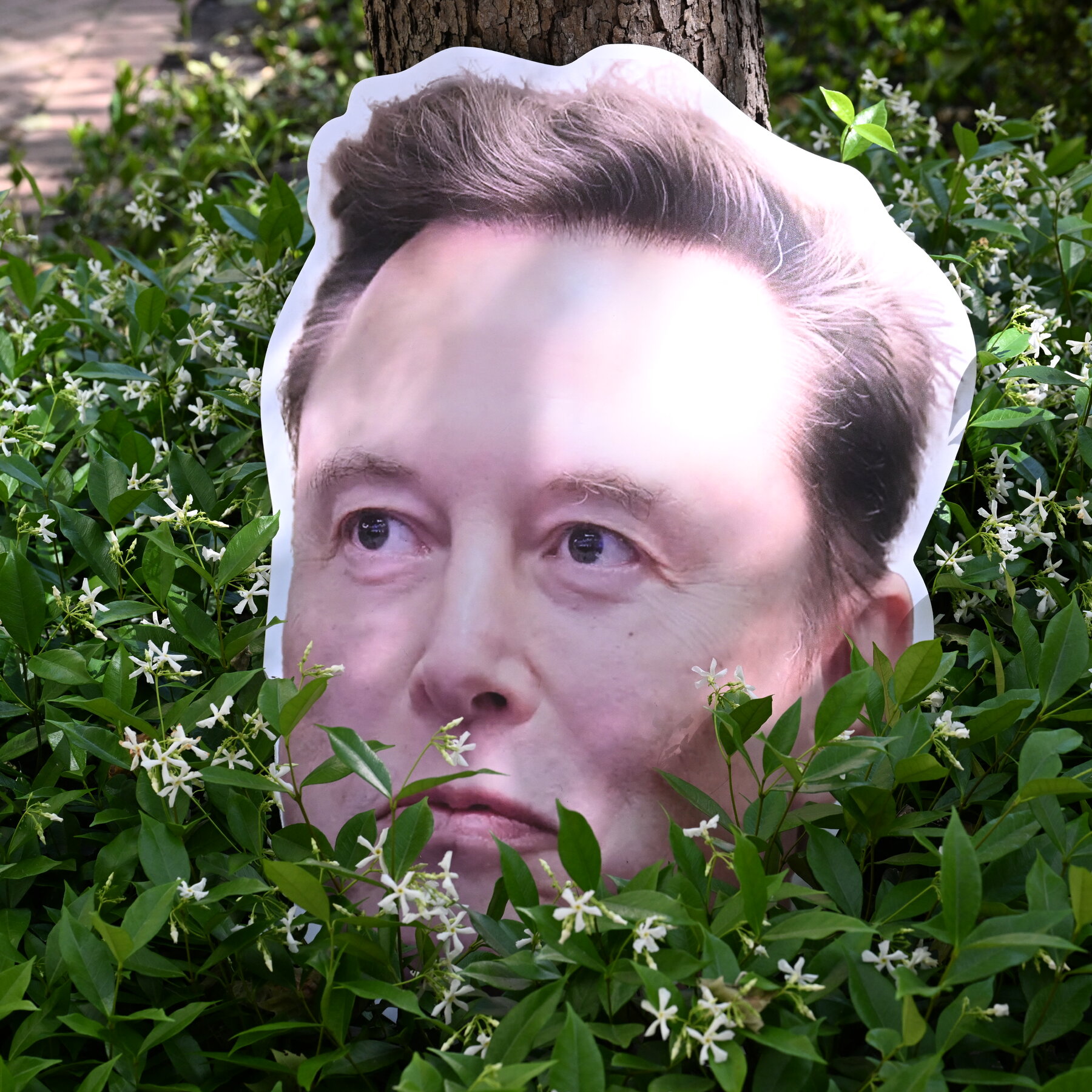 You are currently viewing What’s Happened So Far at the Musk v. OpenAI Trial