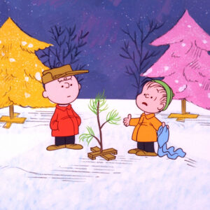 Read more about the article ‘Peanuts’ Music Owner Sues Interior Department and 3 Companies for Copyright Infringement