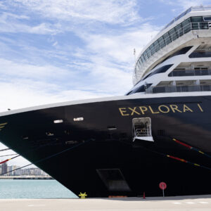 Read more about the article A Wellness Cruise for the Overstimulated and Totally Stressed