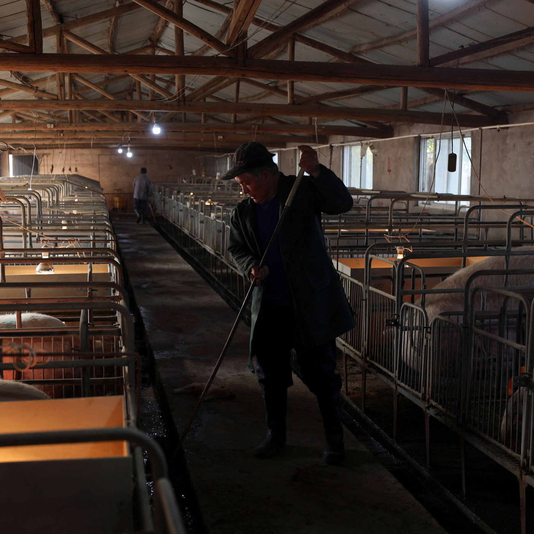 Read more about the article What Plunging Pork Prices Say About China’s Economy