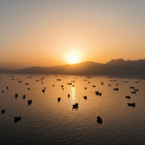 Read more about the article Risk Strait of Hormuz or Wait? Shipping Companies Face a Costly Dilemma.