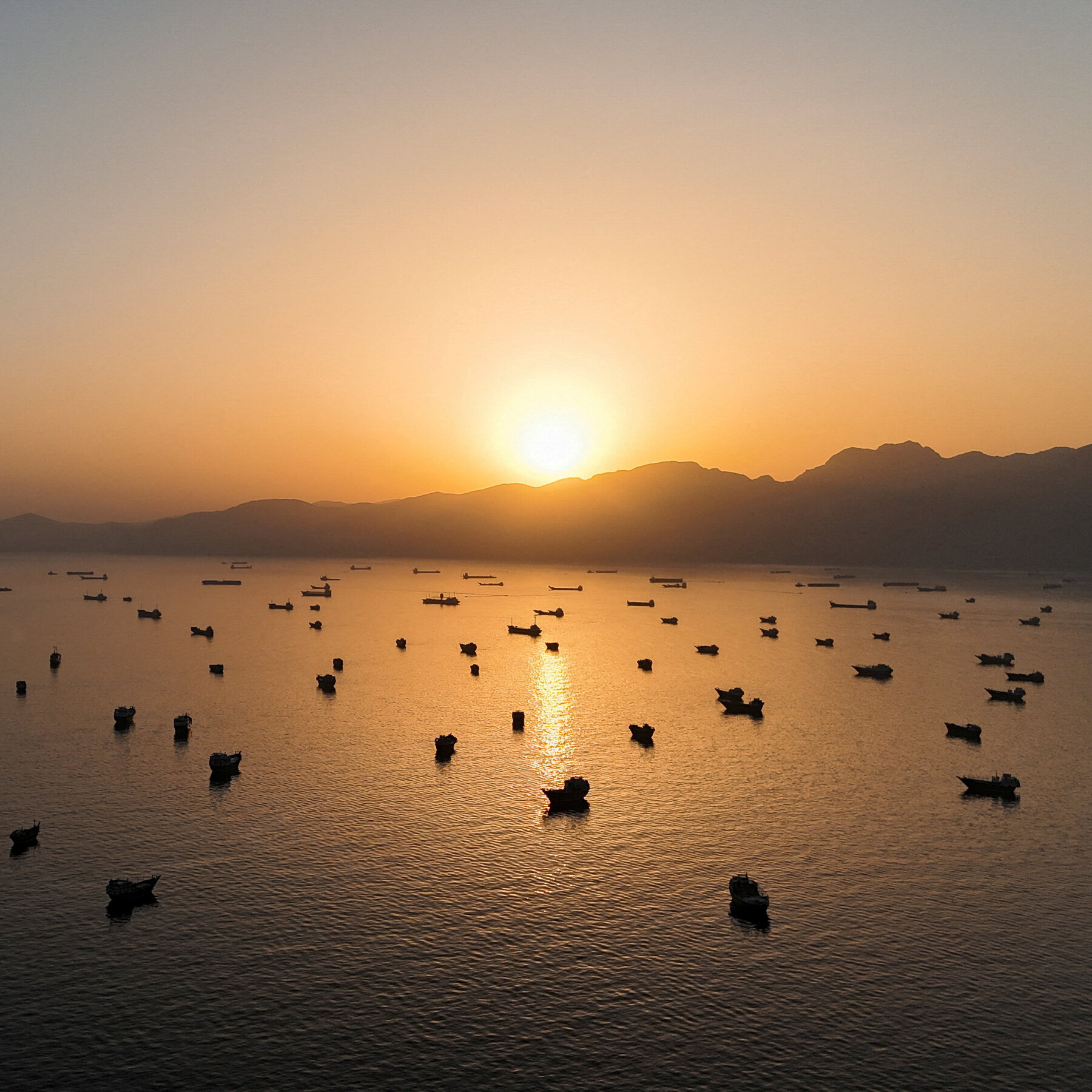 You are currently viewing Risk Strait of Hormuz or Wait? Shipping Companies Face a Costly Dilemma.
