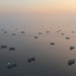 Read more about the article Shipping Firms, Awaiting Details, Are Cautious of U.S.-Iran Deal