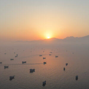 Read more about the article Global Markets Rally on Iran Peace Hopes