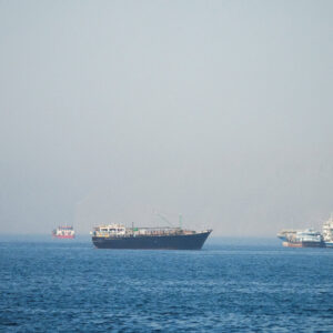 Read more about the article Movement Through Strait of Hormuz Is Halted After Attack on Cargo Ship