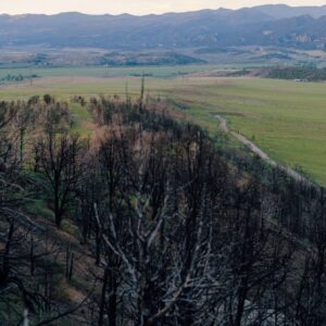 Read more about the article In Colorado, the Long Aftermath of a Fire Feels Political