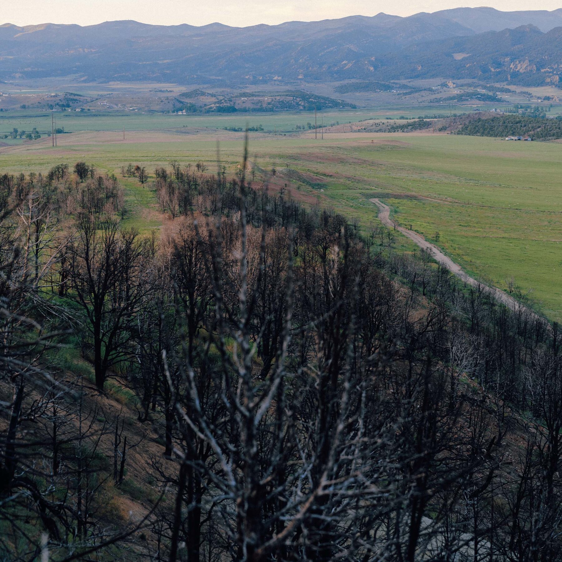 You are currently viewing In Colorado, the Long Aftermath of a Fire Feels Political