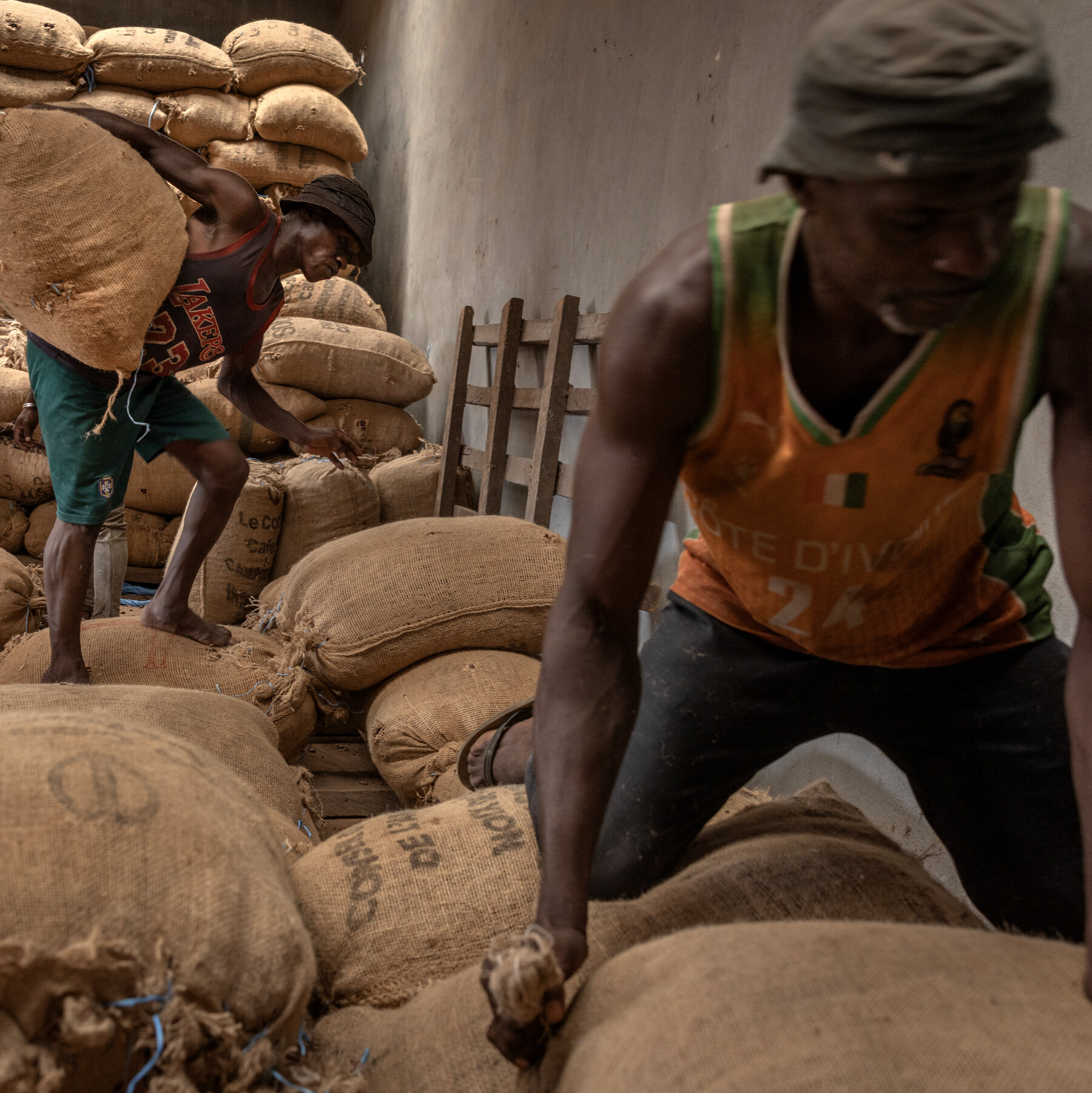 You are currently viewing The Iran War’s Persistent Threat to Farmers in Poor Countries