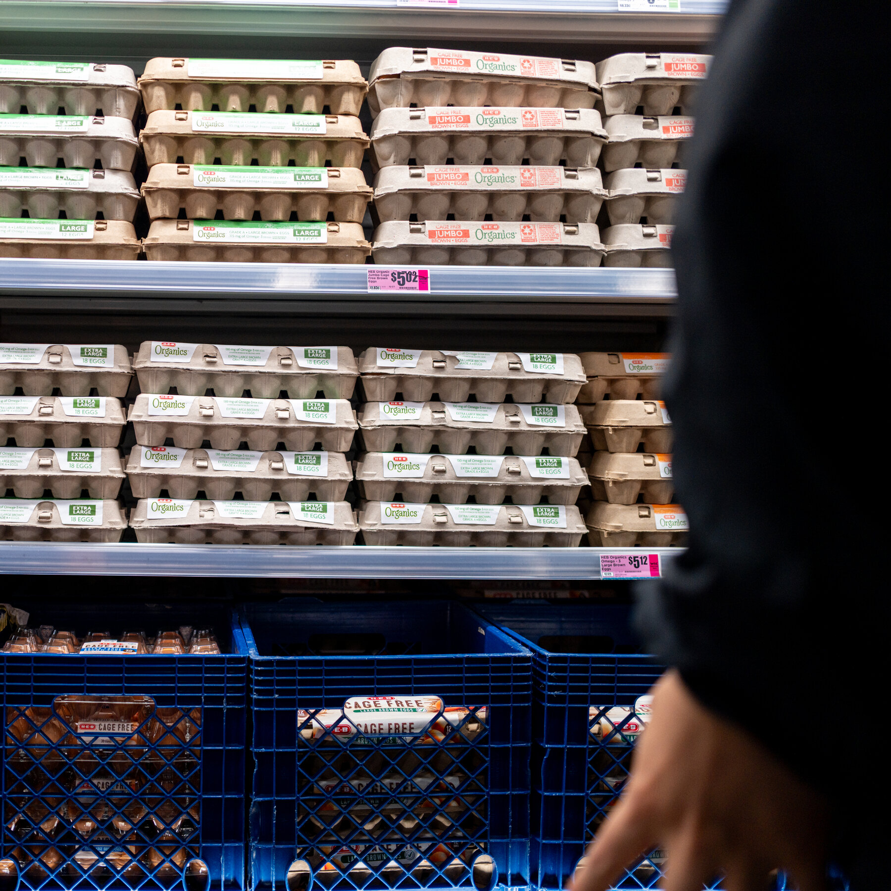 You are currently viewing Egg Producers to Pay $3.3 Million to Settle Federal Price-Fixing Lawsuit
