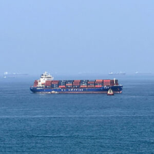 Read more about the article Trump’s Strait of Hormuz Fee Could Double the Cost of Shipping