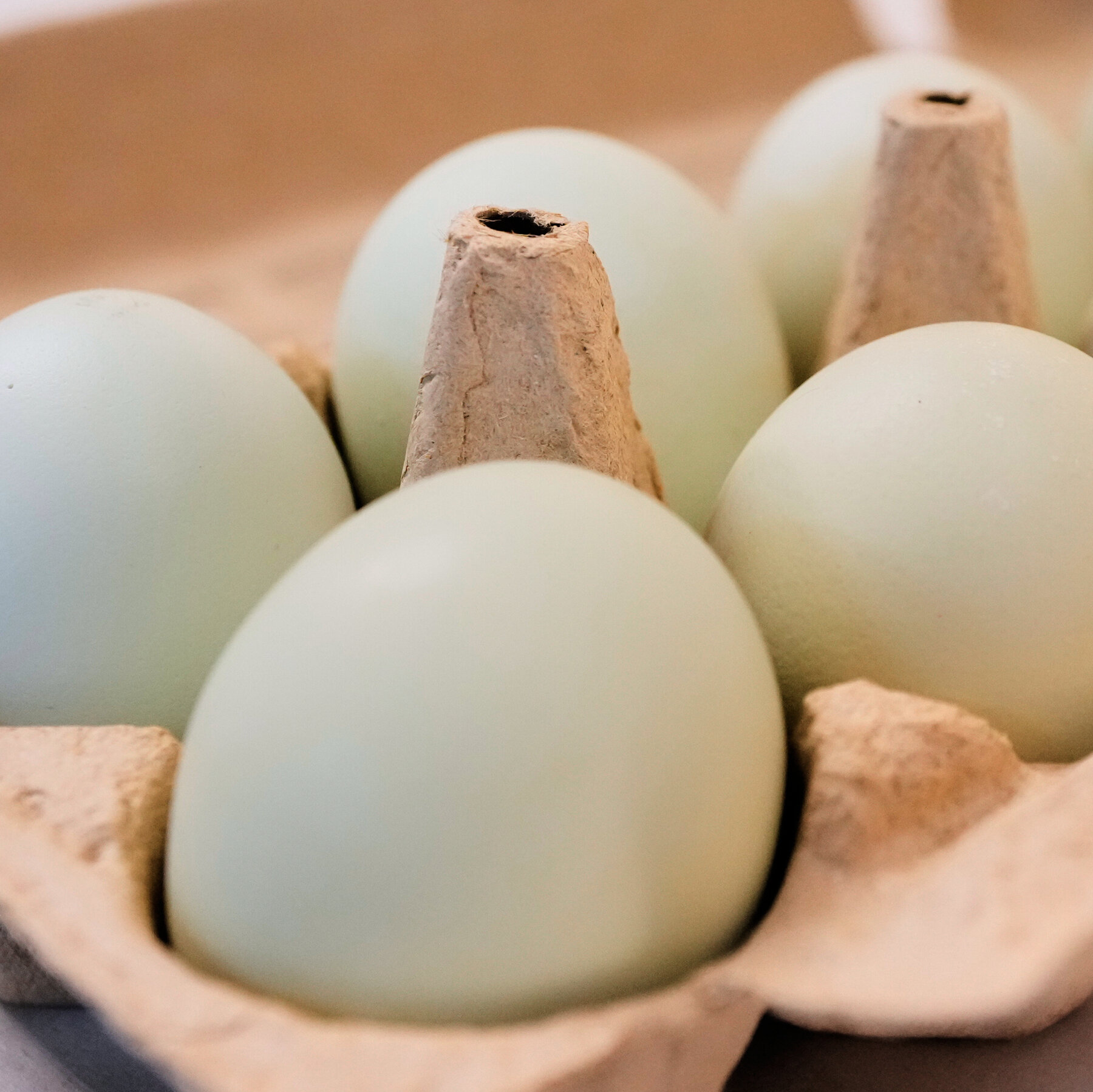 You are currently viewing 1.6 Million Egg Cartons Are Recalled Over Salmonella Risk