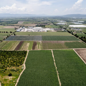 Read more about the article As Cyclospora Cases Climb, FDA Official Says Food Supply Is Safe