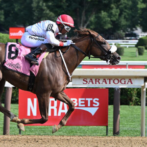 Read more about the article The ‘Betting Coup’ Shaking Up Horse Racing