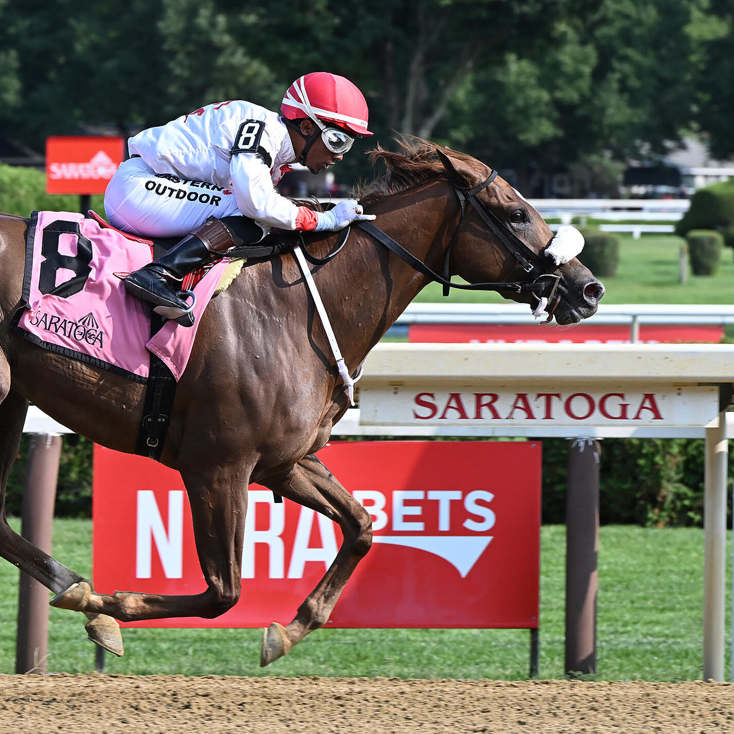 Read more about the article The ‘Betting Coup’ Shaking Up Horse Racing