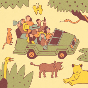 Read more about the article How to Plan an African Safari