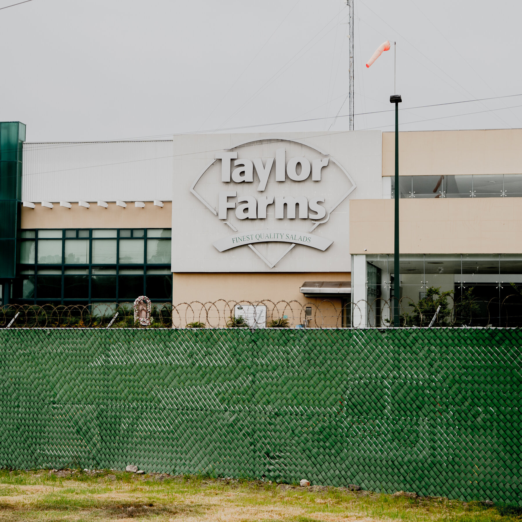 Read more about the article What We Know About Taylor Farms’ Food Recalls