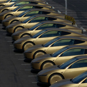 Read more about the article Tesla Begins Offering Rides in a Car Without a Steering Wheel