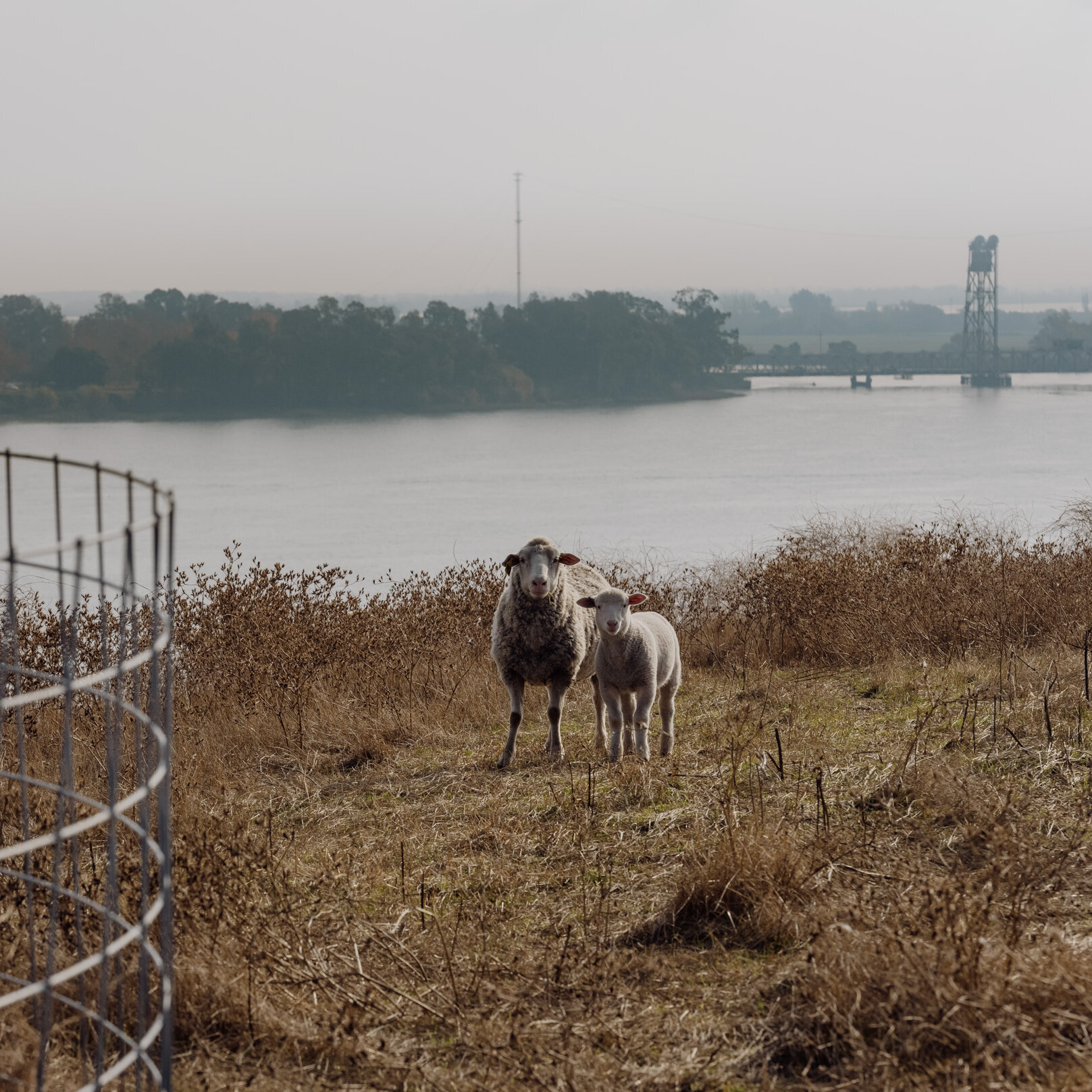 You are currently viewing California Forever’s Ambitious Plan Faces Another Setback