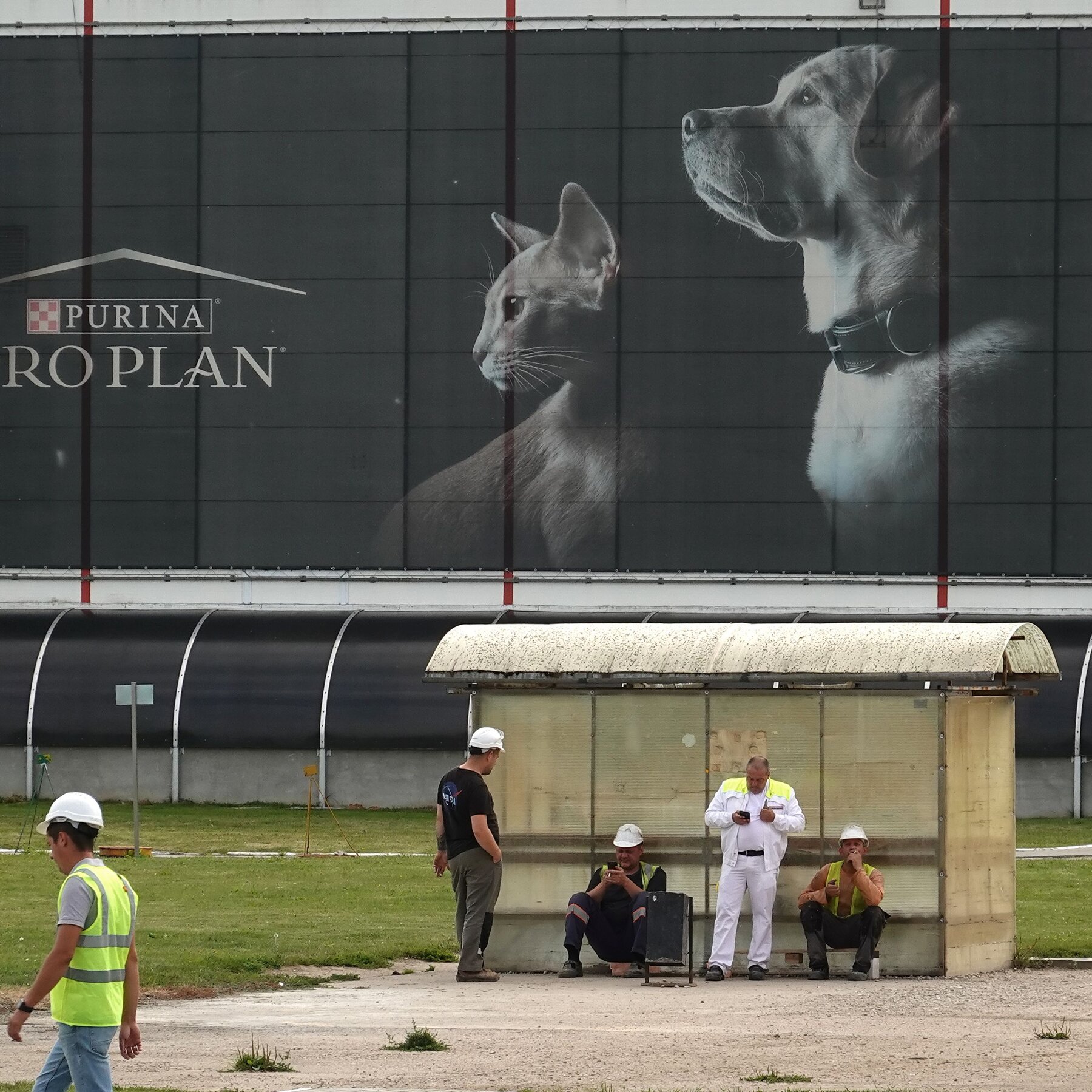 Read more about the article Kremlin Moves to Seize Control of Nestlé’s Russia Operations