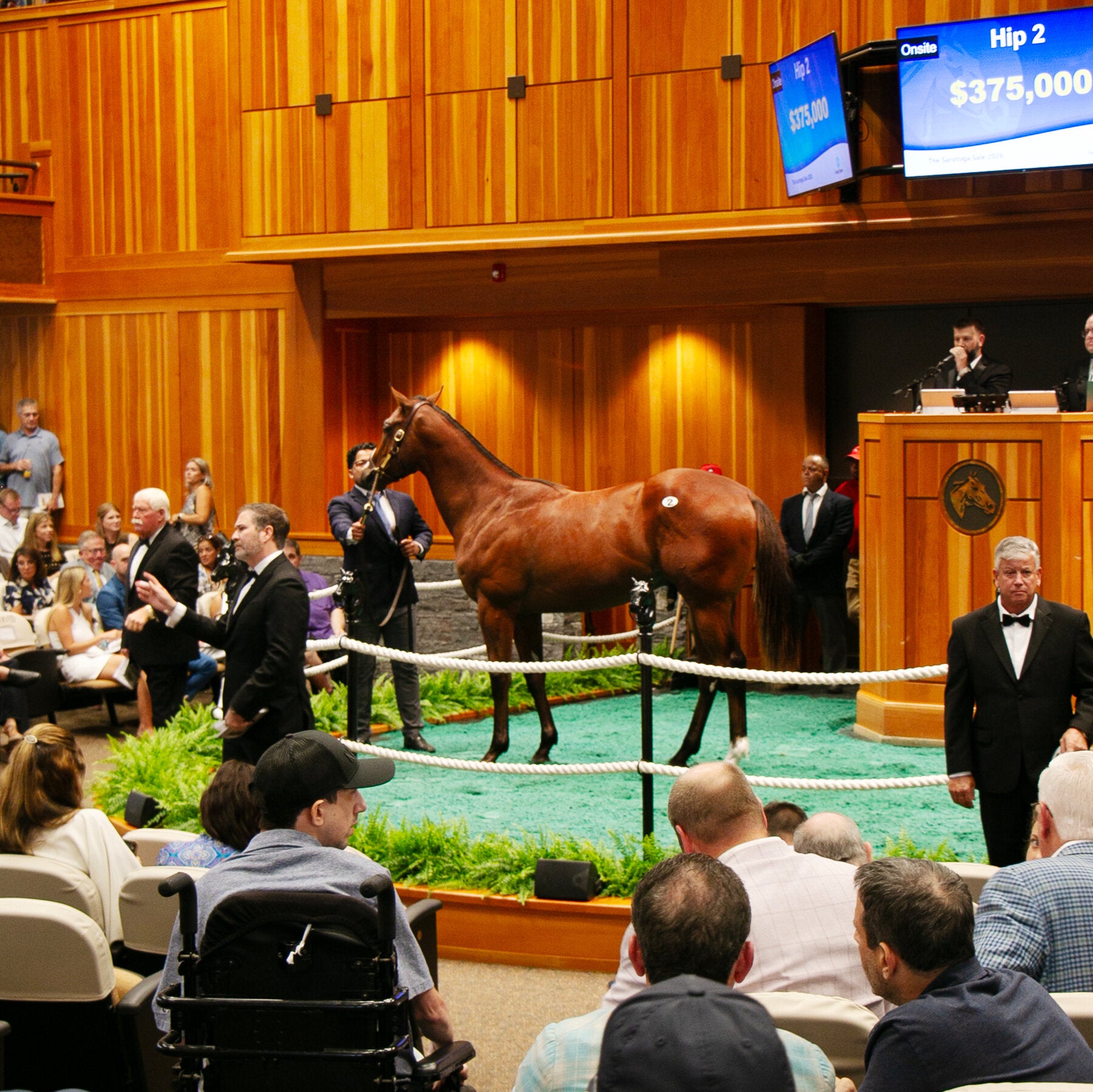 You are currently viewing The U.S. Becomes a Global Hub for Horse Racing