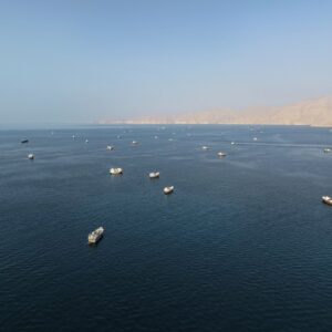 Read more about the article Burst of Attacks in Gulf Heightens Fears Over Fragile Energy Trade