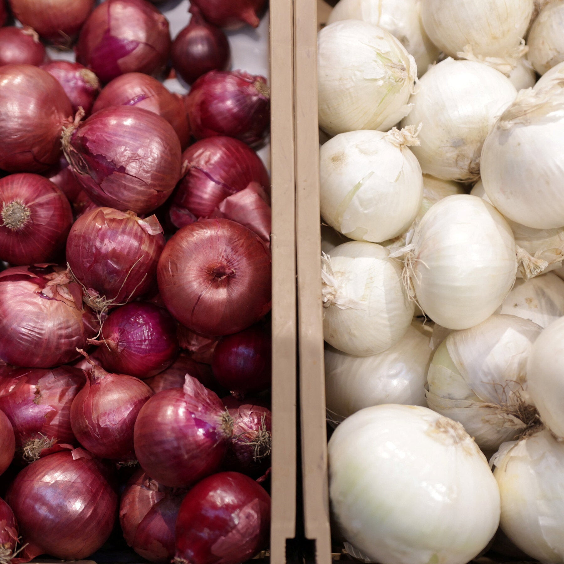 You are currently viewing Why Kalshi Wants to Repeal a 1958 Law About Onions